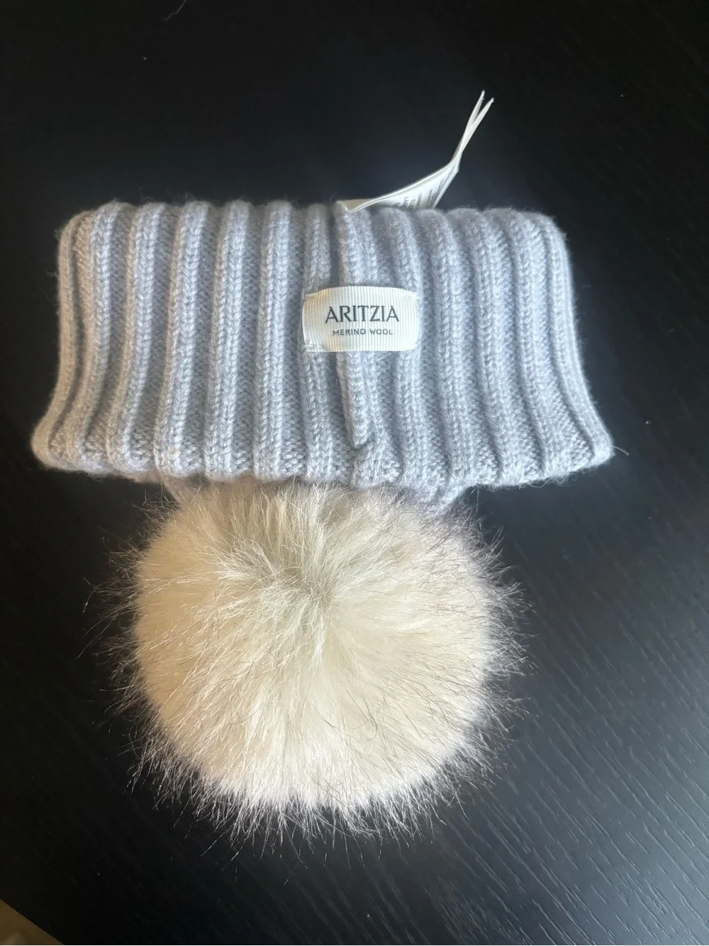 Aritzia Wool Hat